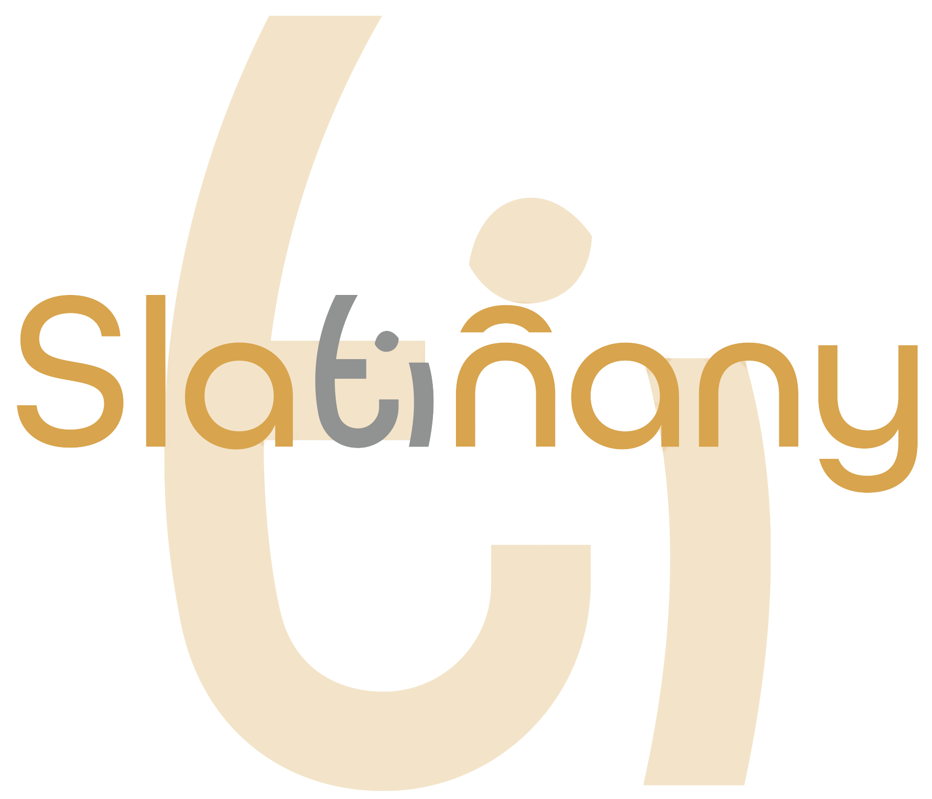 Město Slatiňany